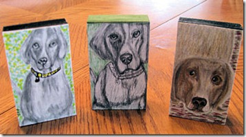 3Dogs