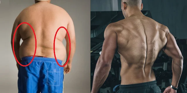 5 Tips to Lose the Stubborn Back Fat !