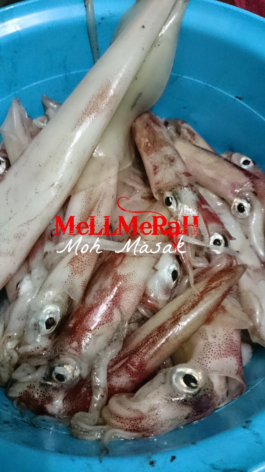 Moh Masak: PaDpRiK SoTonG