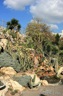Jardín de Cactus, Jolón