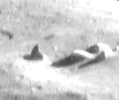 Ufo Crash Report 2