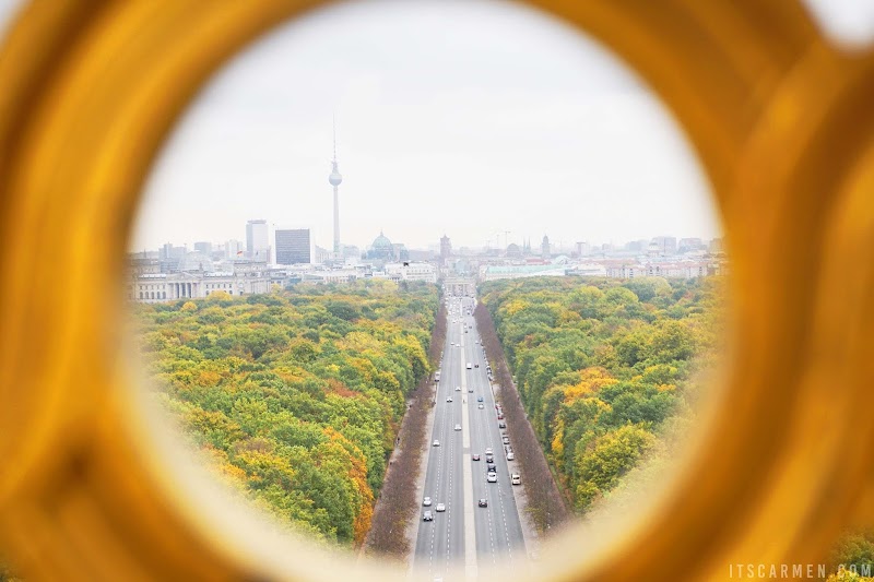 A view of the Tiergarten, What to Do in Berlin in 3 Days: Visiting Berlin, Germany