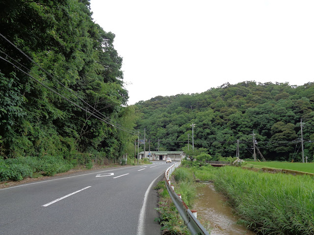 鳥取県道35号線　西伯根雨線