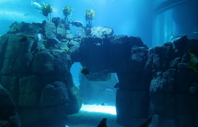 Has A 12,000-Year-Old Underwater City Been Discovered Off The Coast Of Louisiana?