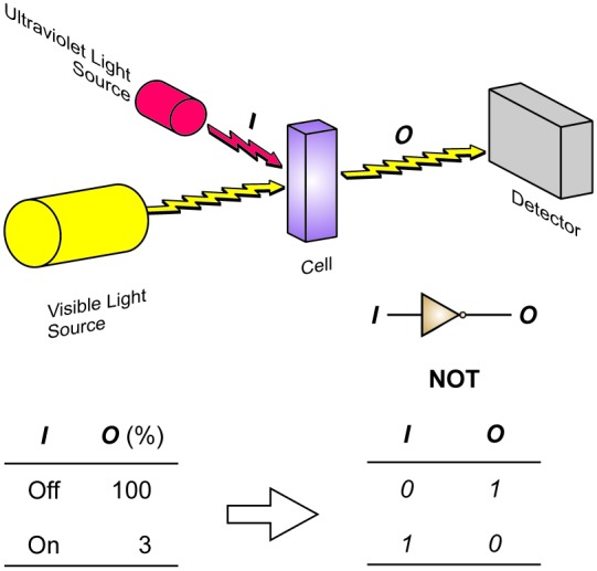 All-optical Processing With Molecular Switches