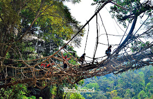 Jembatan Akar Hidup Baduy Dalam