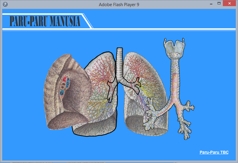 Animasi Paru Paru Manusia Dengan Flash Bli Made