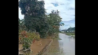 Banjir di Kawasan Walmas Kabupaten Luwu Bikin Petani dan Petambak Merugi Miliaran Rupiah, Tapi Siapa yang Mau Peduli?