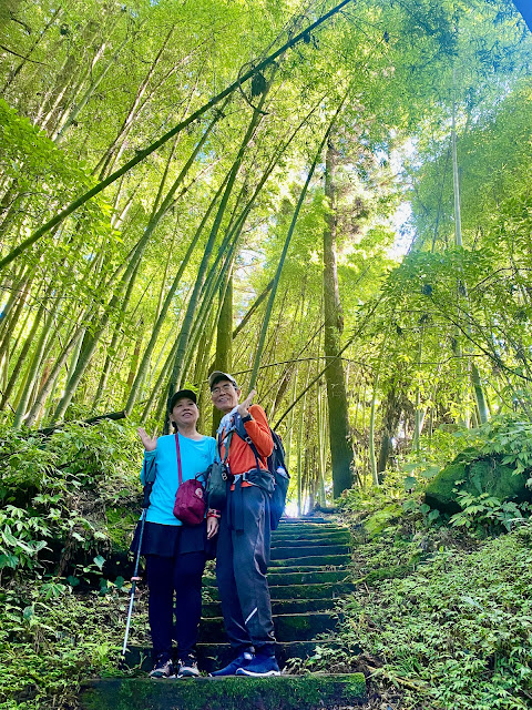 頂石棹步道--茶之道