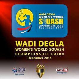 Mundial femenino 2014 (El Cairo, Egipto)