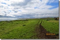 IMG_0500