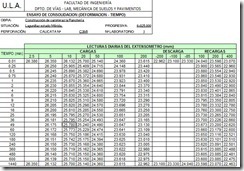 Ensayo de consolidacion