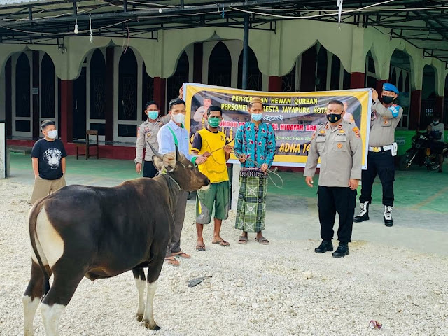 Jelang Idul Adha, Polresta Kota Jayapura Serahkan 5 Hewan Kurban ke Masjid dan Ponpes