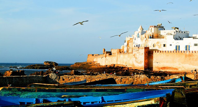 1 Day Excursion to Essaouira from Marrakech