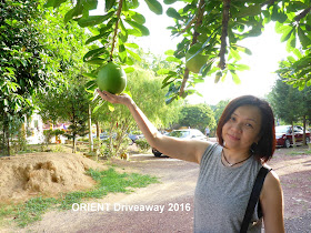 ORIENT-Watch-Driveaway-2016-Singapore-Tangkak-Seremban