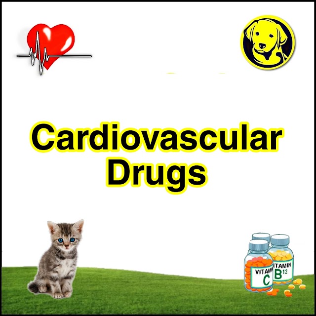 Free Download Cardiovascular Drugs Full Pdf