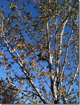 photo photo
