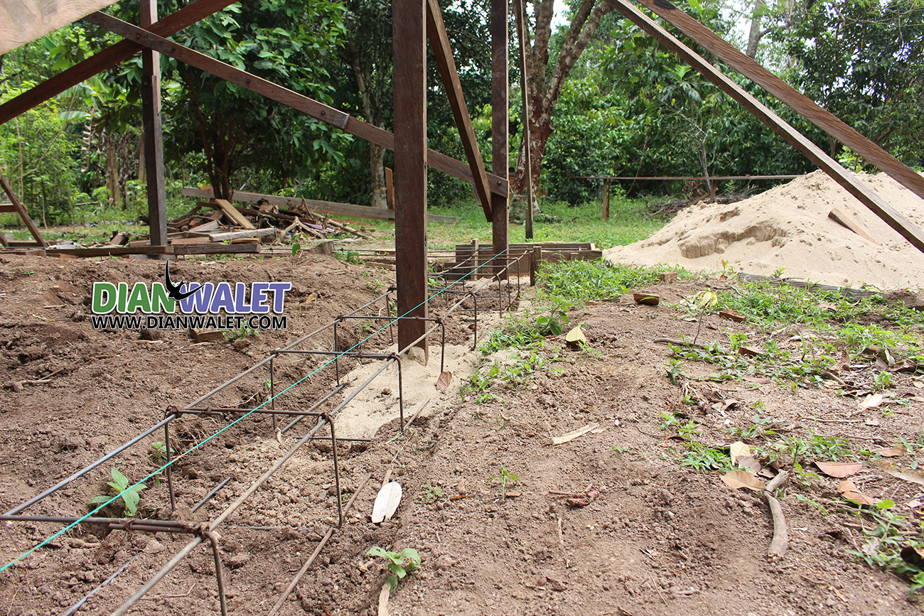 Rumah Sarang Burung Walet Dari Rangka Ulin DIAN WALET Rumah Sarang Burung Walet Dari Rangka Ulin DIAN WALET