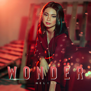 MP3 download Meliso - Wonder - Single iTunes plus aac m4a mp3