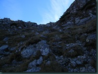 DSCN0439