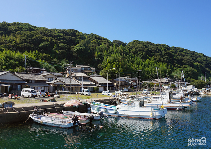 Ainoshima, l'île aux chats