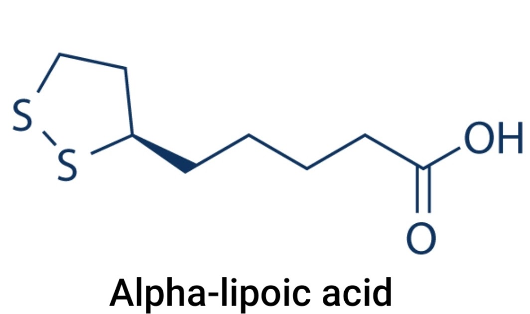 Best alpha-lipoic acid for Neuropathy 2021|Nerve ...