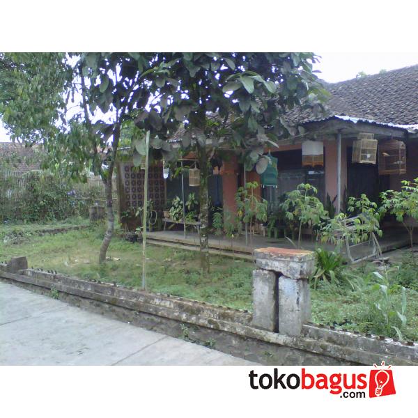 Jual Rumah Dijual Di Garut Kota Dan Sekitarnya Jual rumah 