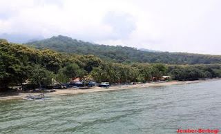 keindahan hutan pantai pasir putih situbondo