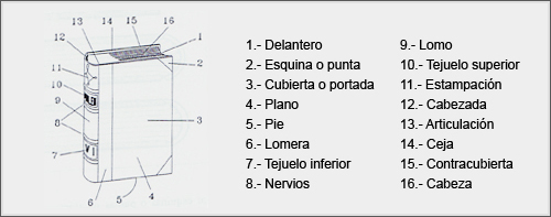 El libro y sus partes: Imagenes