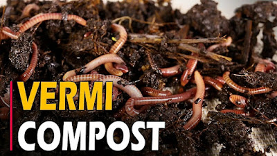 10 Steps to prepare Vermicompost