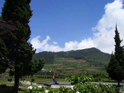 Akomodasi Dan Layanan Yang Tersedia Di Kawasan Wisata Dieng Wonosobo