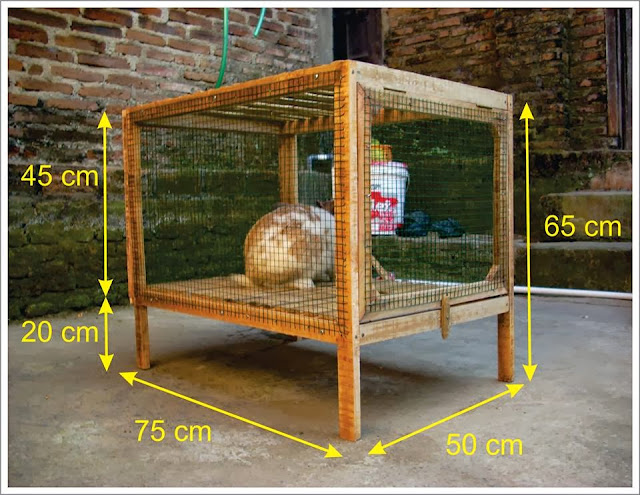 Cara Membuat Kandang  Kelinci  Sendiri Murah 