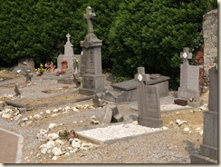 P8295244