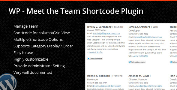 Meet The Team Plugin - CodeCanyon Item for Sale