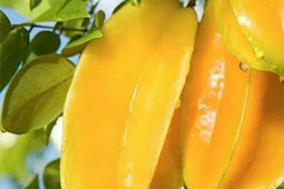 Benefits of star fruit for health