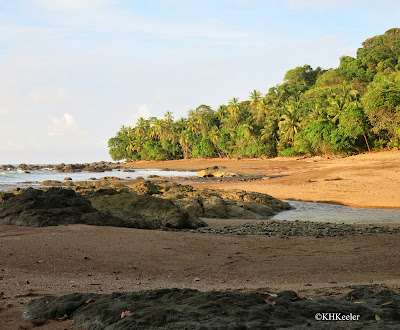 Pacific coast, Costa Rica