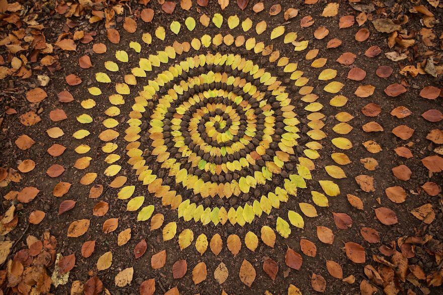 Artist Turns Natural Objects Into Mesmerizing Mandalas And Leaves Them For People To Discover