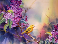 Beautiful Bird Paintings