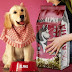 ALPHA Adult Dog Dry Food 20 KG (السعر 390)