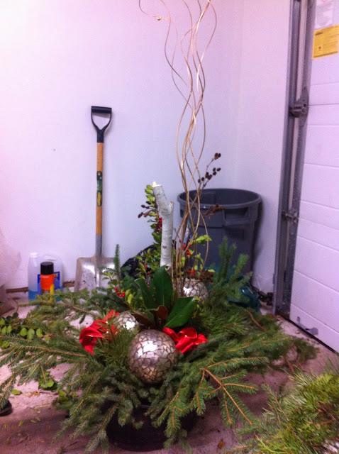 Christmas, decorating, arrangement