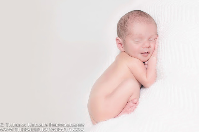 milwaukee newborn photographer, milwaukee baby photographer, milwaukee family photographer