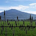 Gempa Bumi 3,8 M "Bangunkan" Warga Kabupaten Kuningan 