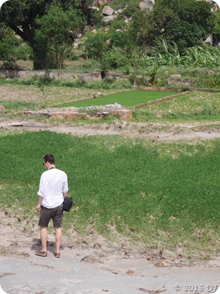 Exploring paddy fields