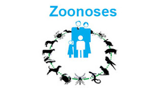 Zoonoses