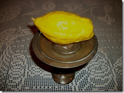 etrog (1)