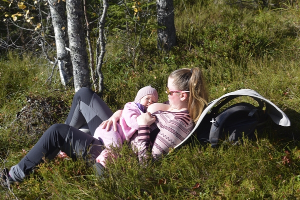 kollsjøen urdevasselva