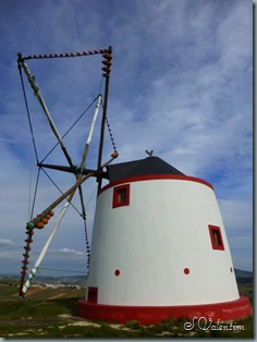 P1000903