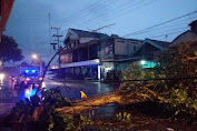Tanggap Bencana, Polsek Kalangbret Bersama Warga Evakuasi Pohon Tumbang