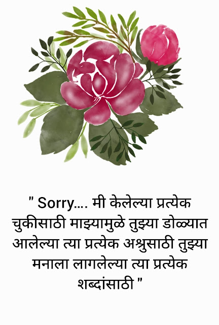 Sorry quotes in marathi |❣