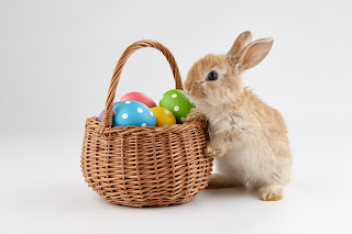 Easter Bunny and Easter Eggs in Basket